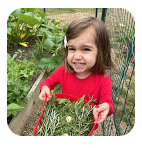 Edible Gardens image