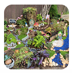 Fairy Gardens pic